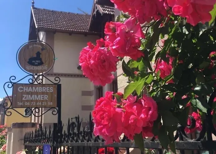 Familial 6 Personnes Daire *