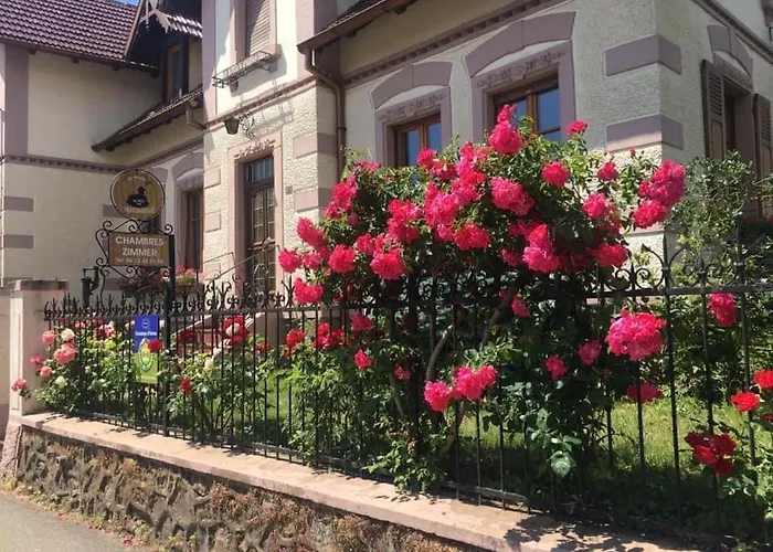 Familial 6 Personnes Daire