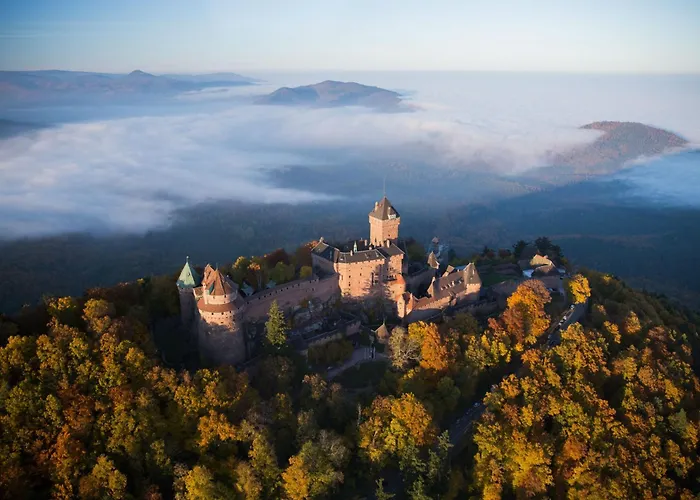 Familial 6 Personnes * Kintzheim